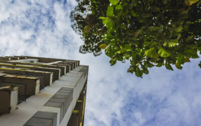 Assistance à maîtrise d’ouvrage en copropriété